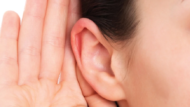 ear image